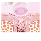 Electric Facial Cleansing Brush with ABS Handle