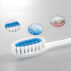 2-Pack Battery-Operated Electric Toothbrushes with ABS Handles